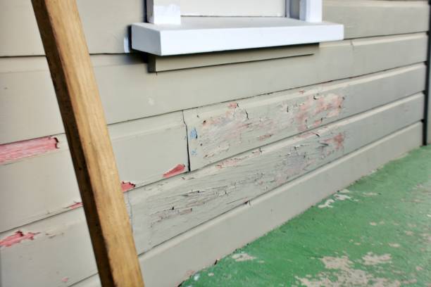 Best Stone Veneer Siding  in USA